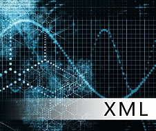 XML-схема пояснительной записки
